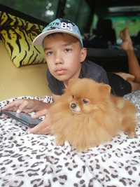 Алёна Шевелёва, фото 2